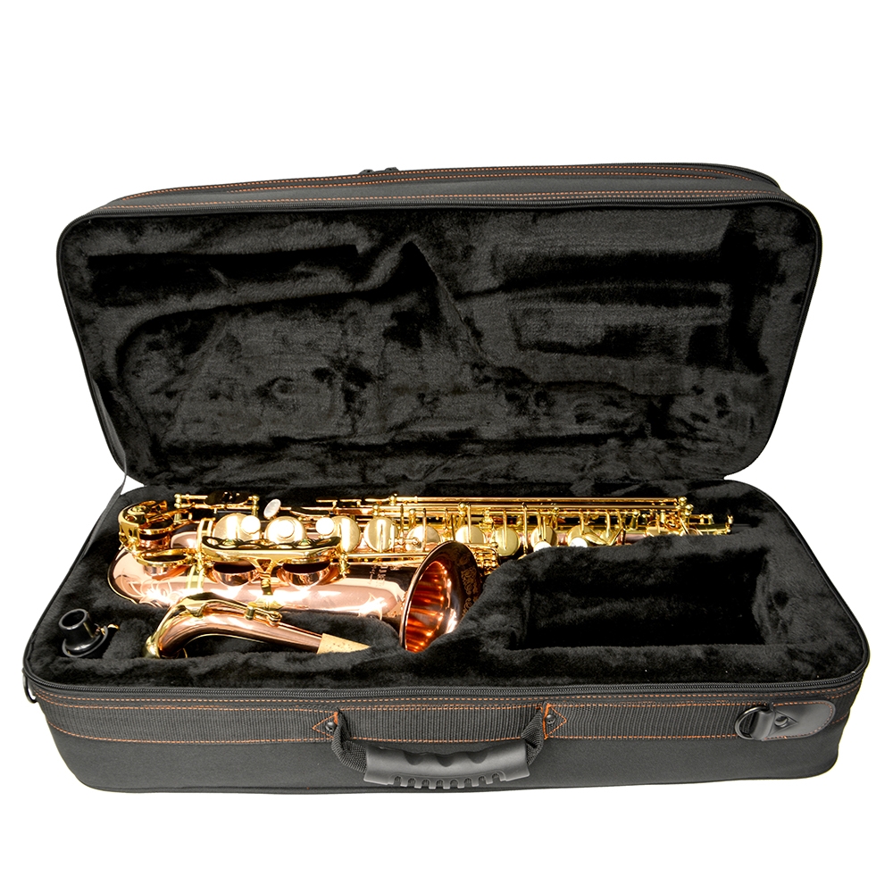 Schiller Voyag Saxophone Case